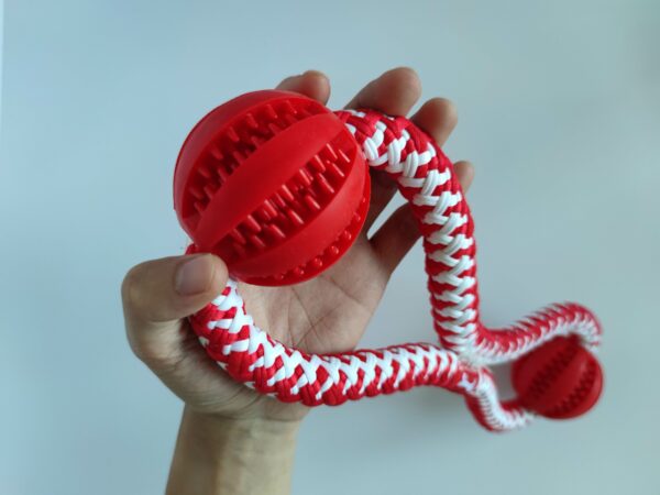 Pet supplies double ball with dog toy rope interactive toy - Image 4